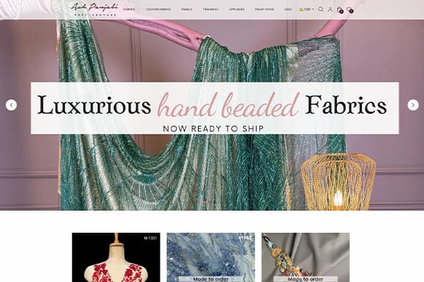 Ashpanjabi website